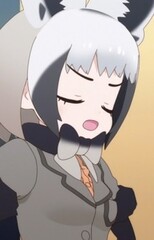 Bat-Eared Fox