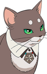 Neko